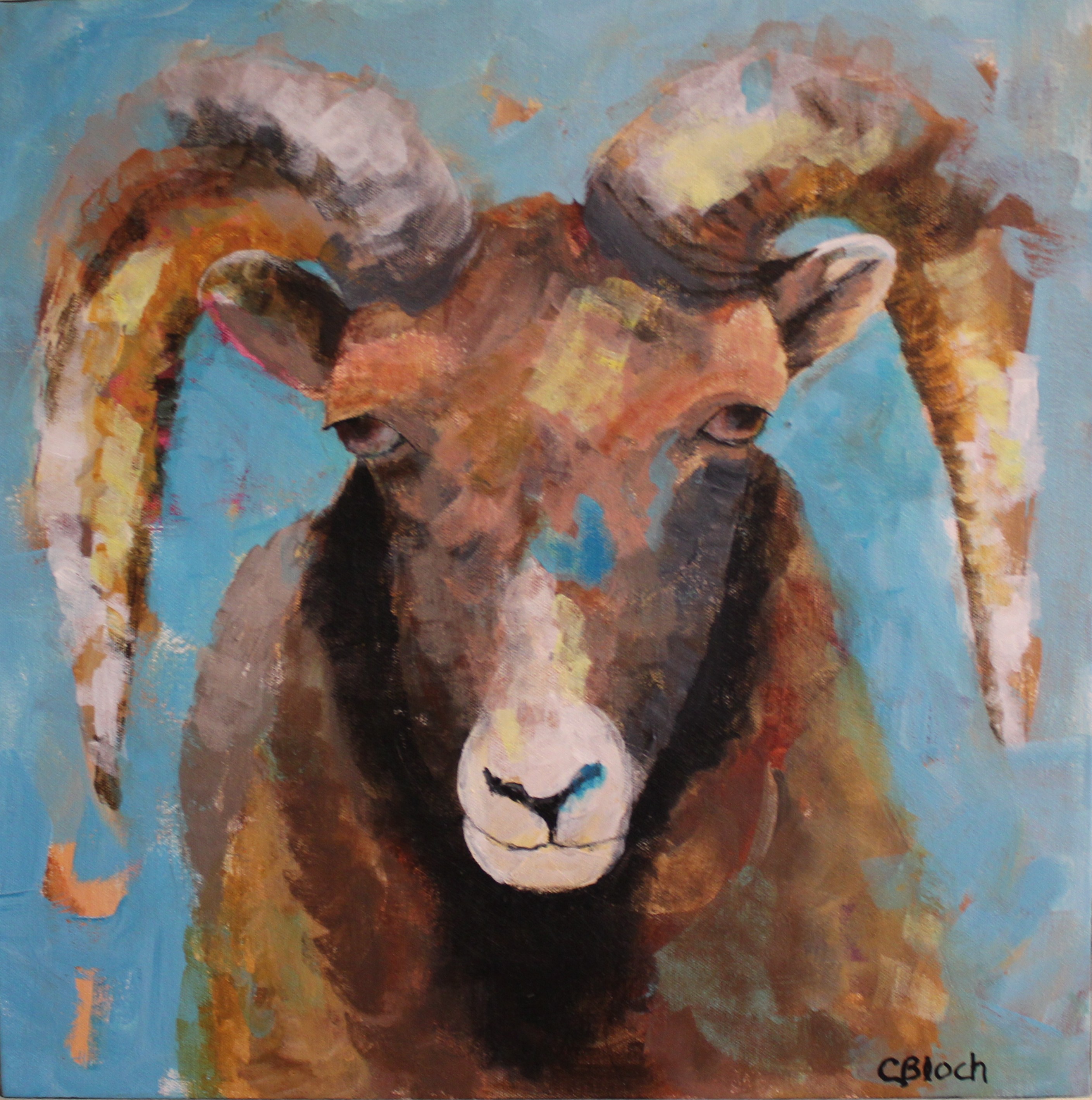 Stacks Image Animals